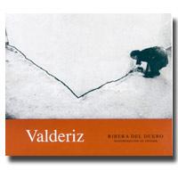 Bodegas y Viedos Valderiz - Ribera del Duero 2020 (750ml) (750ml)