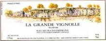 Domaine Filliatreau - Saumur Champigny La Grande Vignolle 2020 (750ml) (750ml)