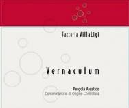 Fattoria VillaLigi - Vernaculum Rosso 2022 (750)
