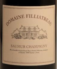 Domaine Filliatreau - Saumur Champigny 2020 (750ml) (750ml)