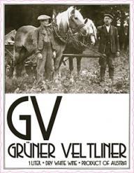 Waldschutz - GV Gruner Veltliner 2021 (1L) (1L)